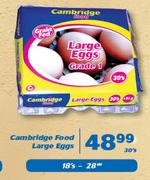 Cambridge Food Large Eggs-30's