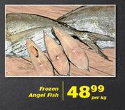 Butchery Frozen Angel Fish-Per Kg