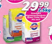 Snowflake Magwenya/Dombola/Queen Cakes Flour Mix-2.5Kg Each