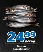 Frozen Maasbanker-Per Kg