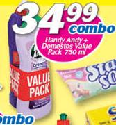 Handy Andy + Domestos Value Pack-750ml Combo