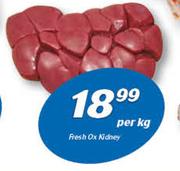 Fresh Ox Kidney-Per kg