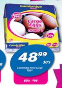 Cambridge Food Large Eggs 30’s