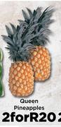 Queen Pineapples-For 2