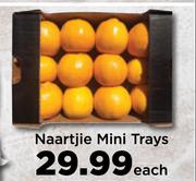Naartjie Mini Trays-Each