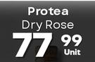 Protea Dry Rose-750ml