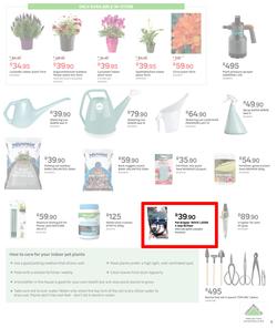Leroy Merlin : Take The Horror Out Of Gardening (6 August - 31 August 2021), page 5