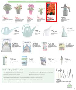 Leroy Merlin : Take The Horror Out Of Gardening (6 August - 31 August 2021), page 5