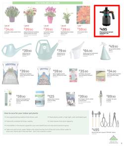 Leroy Merlin : Take The Horror Out Of Gardening (6 August - 31 August 2021), page 5