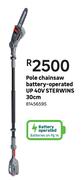 Sterwins Pole Chainsaw (Battery-Operated) UP 40V 30cm
