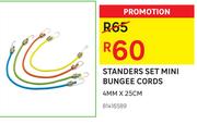 Standers Set Mini Bungee Cords 4MM x 25CM