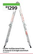 Ladder Multipurpose 6 Step A-Frame & 12 Straight Aluminium 81480873