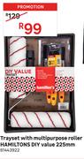 Hamilton's DIY Value 225mm Trayset With Multipurpose Roller 81443922