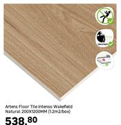 Artens Floor Tile Intenso Wakefield Natural 200 x 1200MM (1.2Sqm/Box)