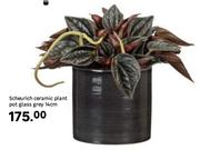 Scheurich Ceramic Plant Pot Glass Grey 14cm