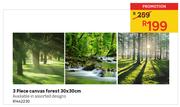 3 Piece Canvas Forest 30 x 30cm