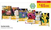 Hadeco Garden Bulbs (Various)