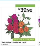 Sunpatients Varieties 15cm