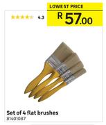 Flat Brushes Set Of 4