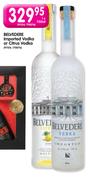 Belvedere Imported Vodka or Citrus Vodka-750ml Each