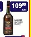 Bardinet Napoleon Brandy-1Ltr
