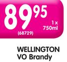 Wellington Vo Brandy-750ml
