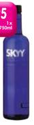 Skyy Imported Vodka-12 x 750ml