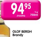 Olof Bergh Brandy-750ml