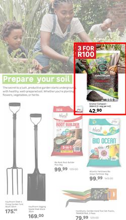 Leroy Merlin : Live Love Garden (01 August - 31 October 2025), page 2
