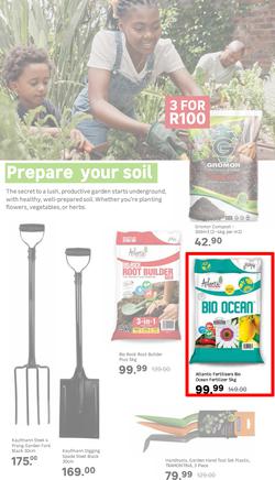 Leroy Merlin : Live Love Garden (01 August - 31 October 2025), page 2