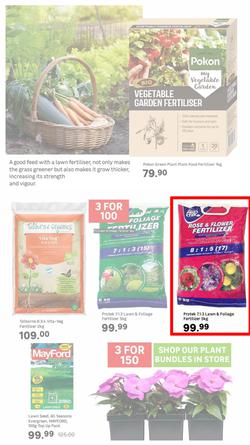 Leroy Merlin : Live Love Garden (01 August - 31 October 2025), page 3