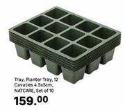 Natcare Tray, Planter Tray, 12 Cavaties 4.5 x 5cm, Set Of 10