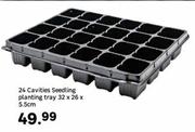 24 Cavities Seedling Planting Tray 32 x 26 x 5.5cm