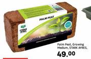 Stark Ayres Medium Growing Palm Peat