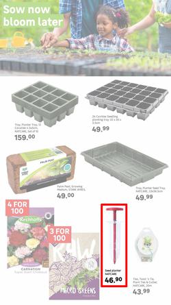 Leroy Merlin : Live Love Garden (01 August - 31 October 2025), page 4