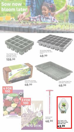 Leroy Merlin : Live Love Garden (01 August - 31 October 2025), page 4