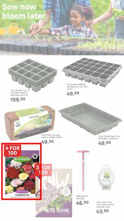 Leroy Merlin : Live Love Garden (01 August - 31 October 2025), page 4