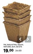 Natcare 6cm Set Of 6 Square Natural Pots