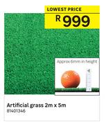 Artificial Grass 2m x 5m