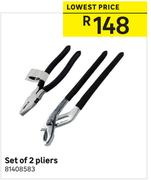 Set Of 2 Pliers