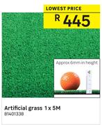 Artificial Grass 1 x 5M