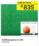Artificial Grass 2 x 5M
