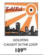 Goldfish Caught In The Loop