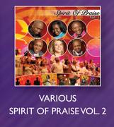 Various Spirit Praise Vol.2