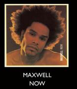 Maxwell Now