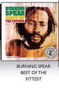 Burning Spear Best Of The Fittest