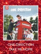One Direction Take Me Home
