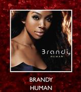 Brandy Human