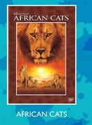 African Cats DVD Each