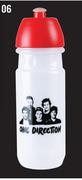 One Direction Waterbottle